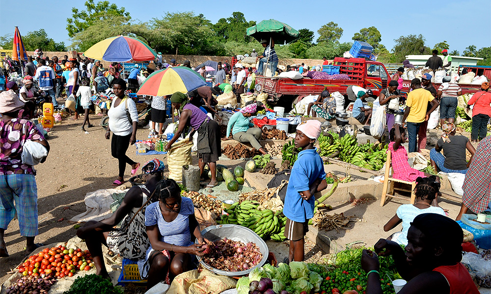 Frontera dominico Haitiana. Ponen en circulación libro Invasión a Quisqueya. (Foto Edward Roustand)