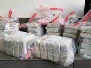 Cocaína incautada por la DNCD en Moca.