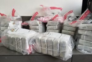 Cocaína incautada por la DNCD en Moca.