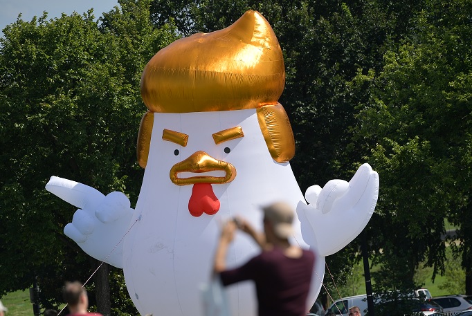 Gallina, Casa Blanca, Donld Trump