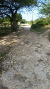 Camino vecinal Cocinera - Guaraguao, Las Matas de Farfán, donde agricultores demandan agua par irrigar.