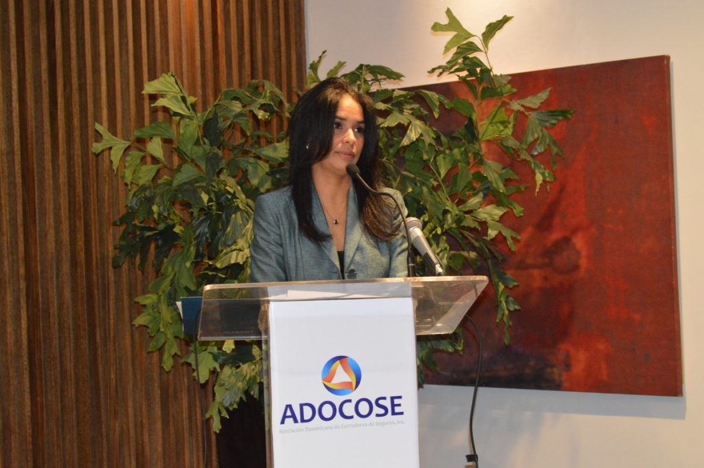 Claudia Franchesca de los Santos, directora del Intrant, durante su exposición.