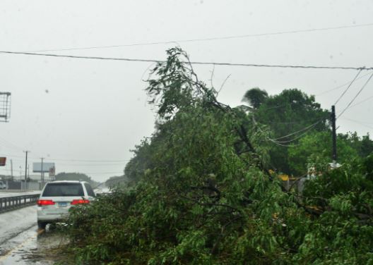 Huracán Irma, Puerto Plata