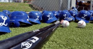 Tigres del Licey deja libre a 13 jugadores.