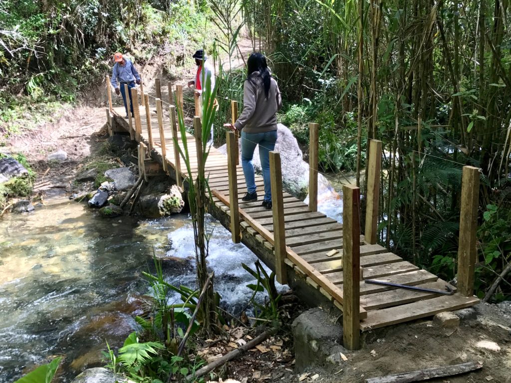 Medio Ambiente y Fundación Desde el Medio presentan mejoras en el Pico Duarte