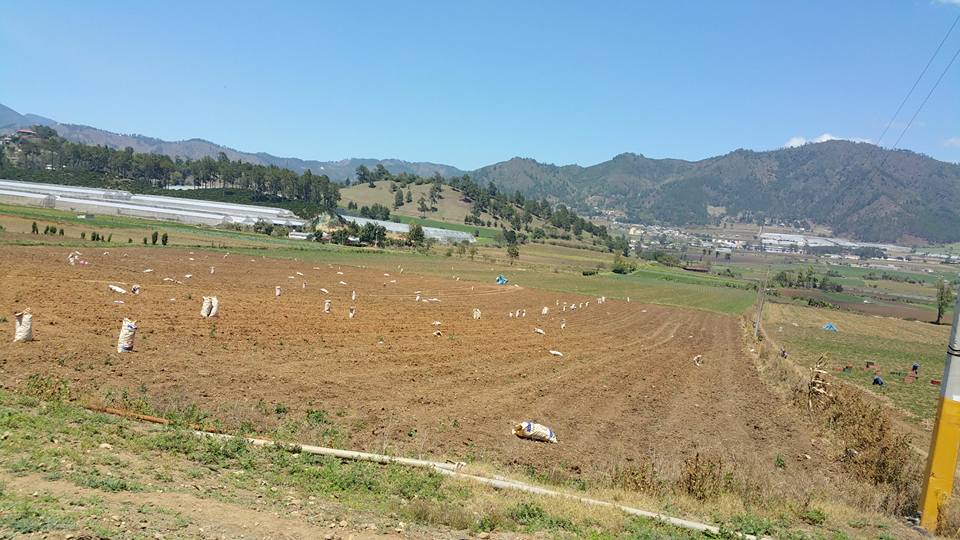 Valle de Constanza