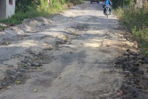 Carretera de comunidad el Guineal. Foto Narciso Acevedo
