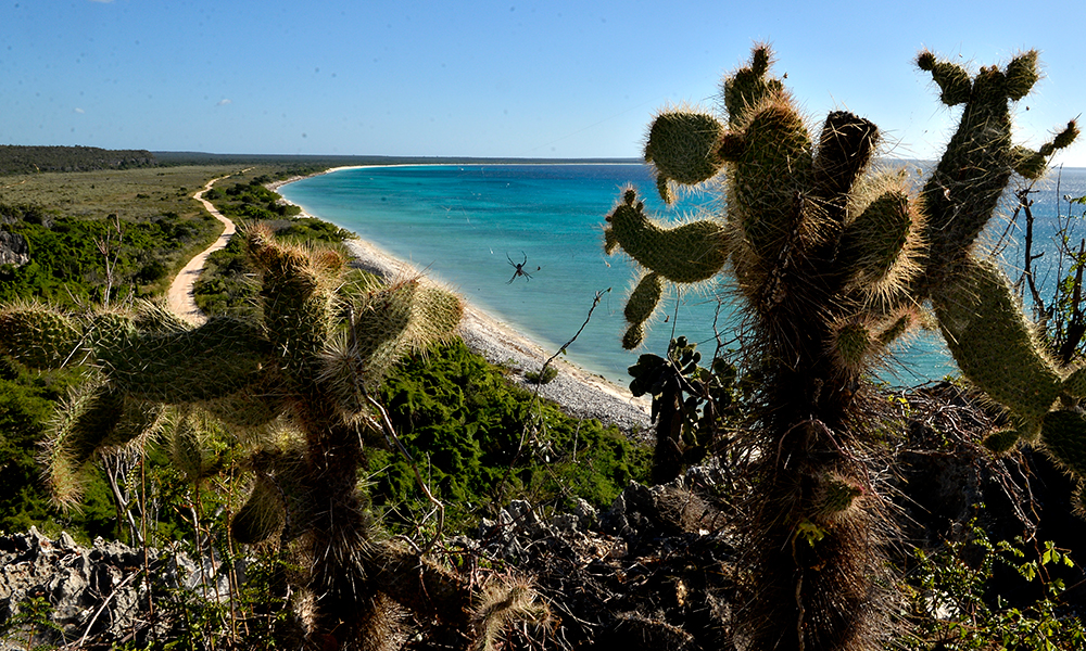 Bahía de las Águilas