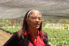 María Amparo Jiménez, coordinadora de la Asociación de Productores de Bosques El Carrizal, del Distrito Municipal Restauración, en Dajabón,