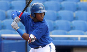 El prospecto Vladimir Guerrero Jr.