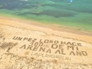 Campaña en playa contra depredación del pez Loro