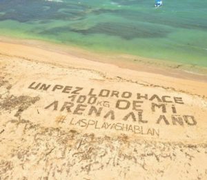 Campaña en playa contra depredación del pez Loro