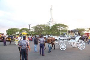 Inicio de operativo de rescate de caballos en el area monumental de Santiago.