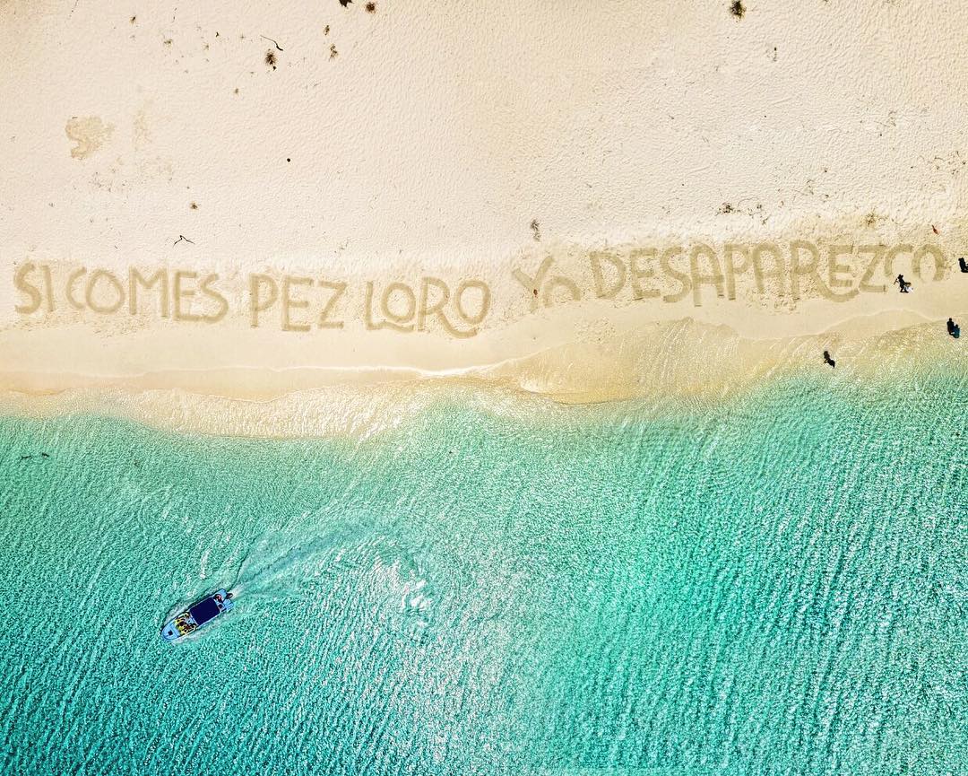 Campaña en playa contra depredación del pez Loro