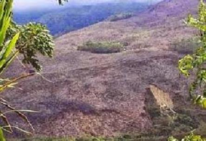 Tierras devastadas en Sierra de Bahoruco