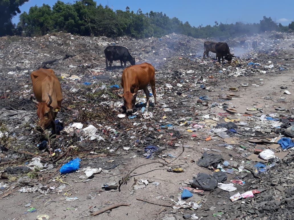  Vertedero en Las Salinas, municipio Villa Central, en Barahona. Foto Adalgisa Corcino