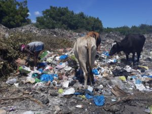 Vertedero en Las Salinas, municipio Villa Central, en Barahona. Foto Adalgisa Corcino