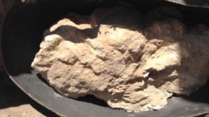 Probablemente el residuo sólido arqueológico más antiguo de un queso que se haya encontrado.