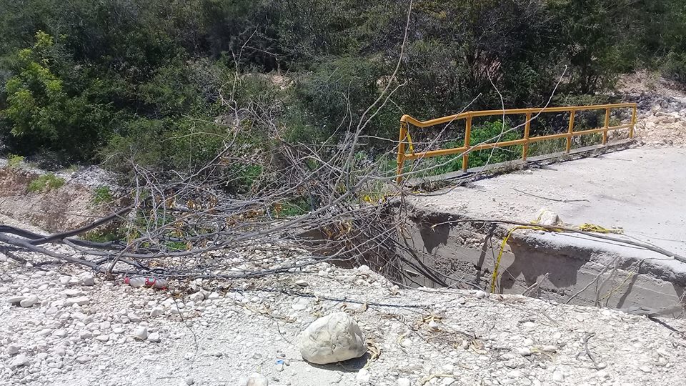 Puente Polo-Cabral en avanzado estado de deterioro