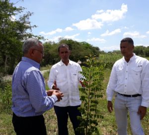 CONCADOM, en alianza con el Centro de Innovación Atabey, Trasplansa y Cilpen Global Quality Recycling realizó la “Ruta de la Caoba