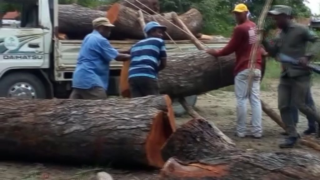 José Miguel Romero denuncia miembros del SENPA le quitaron varios camiones de madera ilegalmente