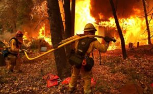 Bomberos de California intentan sofocar las llamas.