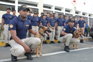 Agentes de la DNCD con sus canes.