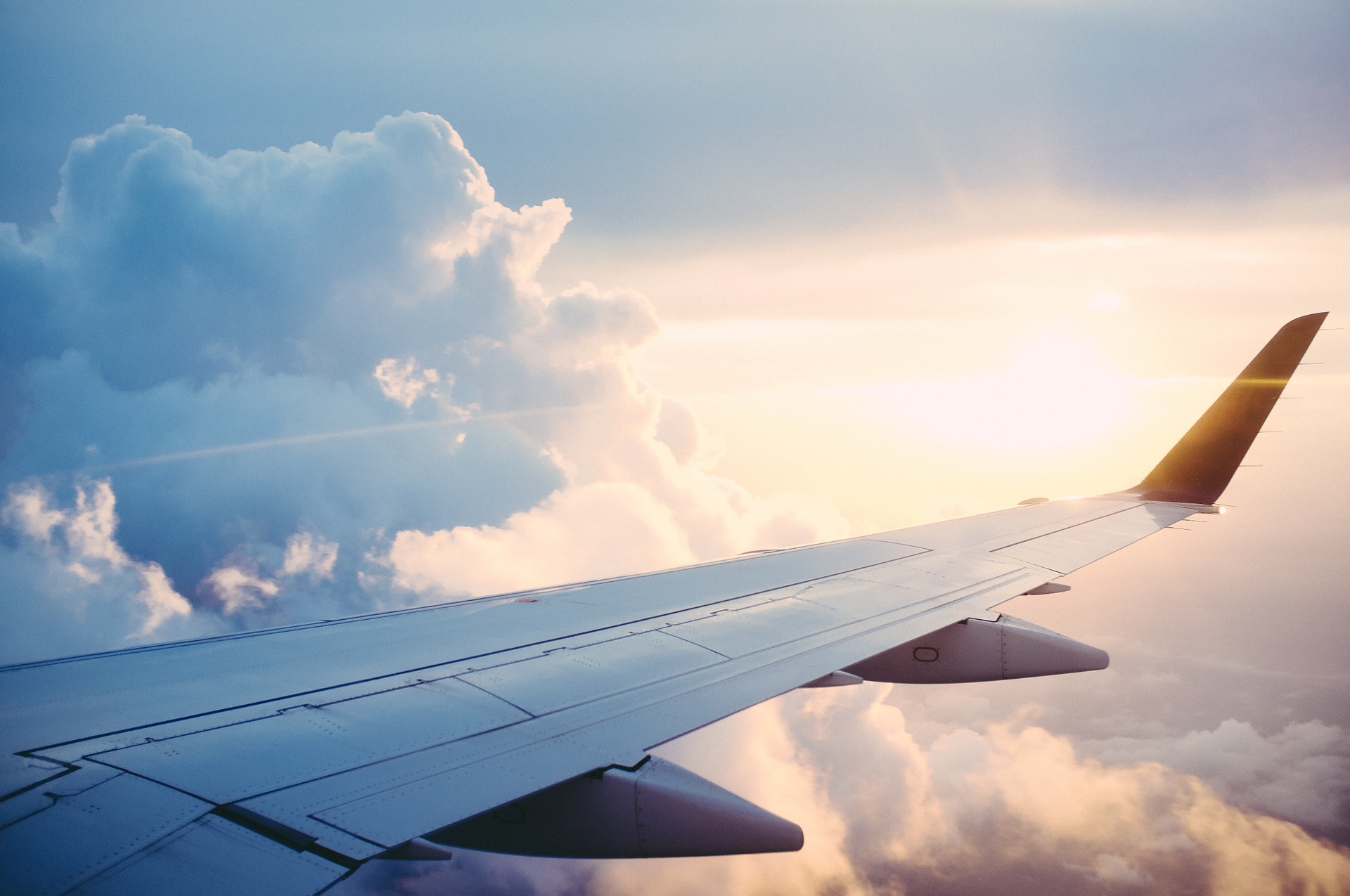 Vuelo