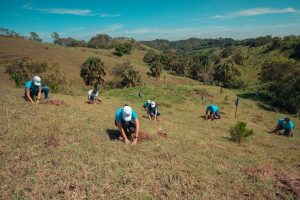 Empleados de Banco Popular en la jornada de siembra de árboles en Plan Sierra