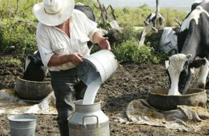 Productores de leche