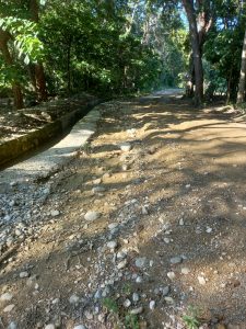 Más de 40 familias de la Sección Pozo Hondo en Las Matas de Farfán demandan arreglo de camino.