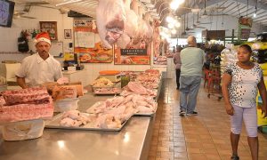 “Los focos de fiebre porcina no deben alarmar”, dicen granjeros