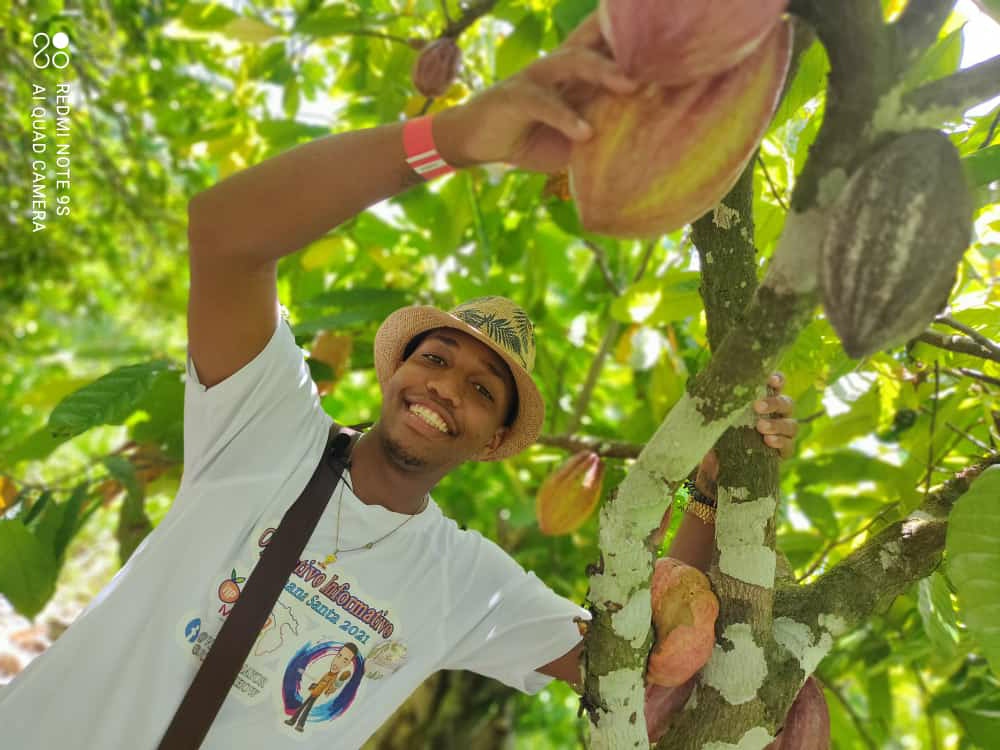 Vuelve la “Ruta del Cacao” en Hato Mayor