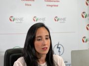 Susana Martínez Nadal, Presidenta de ANJE