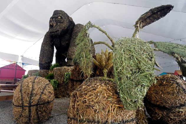 Puebla inaugura festival de esculturas gigantes de paja