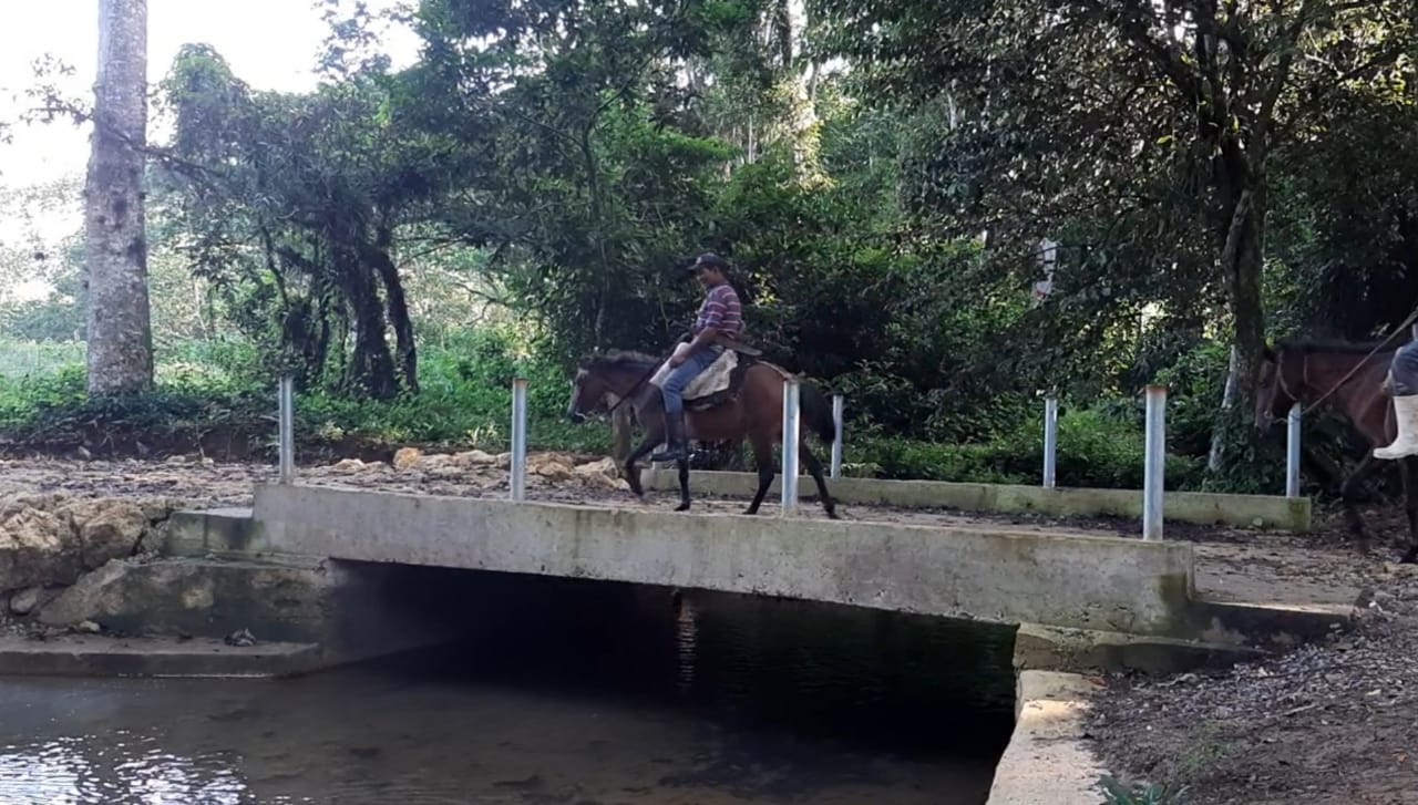 Productores de benefician de puente construido sobre Río Sabana en Bayaguana