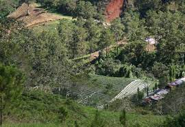 Medio ambiente sobre Valle Nuevo: "tenemos que cumplir la ley, pero creemos en el diálogo"