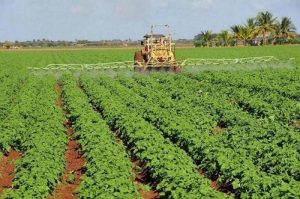 Estados Unidos dona 13 millones de dólares para fines de agropecuarios