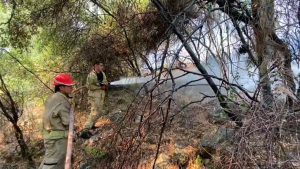 Seis muertos en incendios en Turquía incluyendo dos bomberos