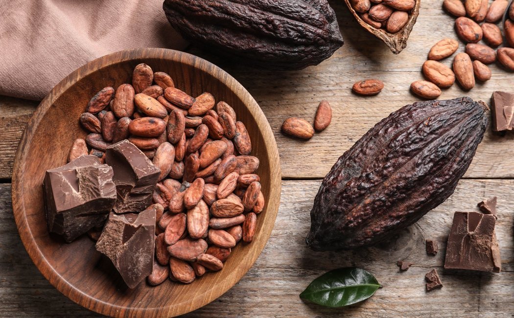 Día Mundial del Cacao: cuáles son los beneficios de este antioxidante