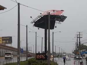 Brisa y lluvias de Fred derriban árboles y dañan vallas comerciales en Boca Chica