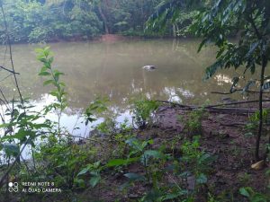 Asesinato del hombre lanzado a laguna en Hato Mayo fue por supuesta venganza