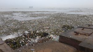 Las unidades de ITABO son afectadas por toneladas de basura