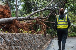 Carolina Mejía supervisa trabajos de ordenamiento tras paso de Fred