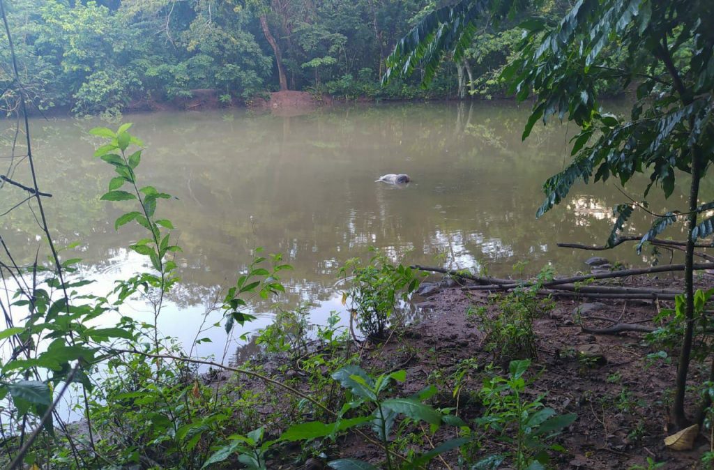 Foto del lago donde fue hallado el cuerpo del desconocido
