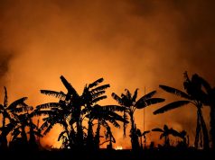 Récord de grandes incendios en la Amazonía