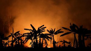 Récord de grandes incendios en la Amazonía