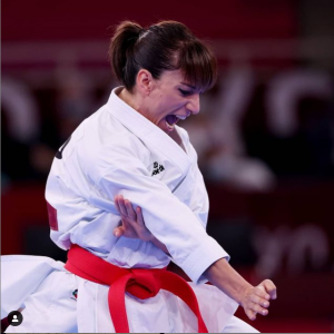 Una docena de medallas para España