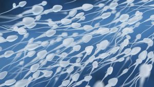 COVID-19: ¿puede verse afectada la calidad del espermatozoide?
