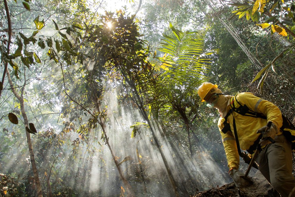 La deforestación en la Amazonía brasileña está cerca de llegar a niveles récord